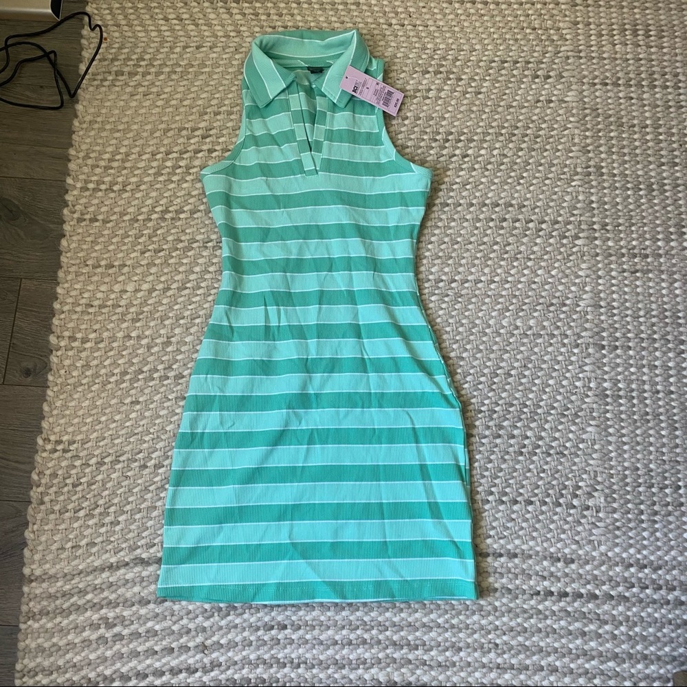Wild fable collared dress!